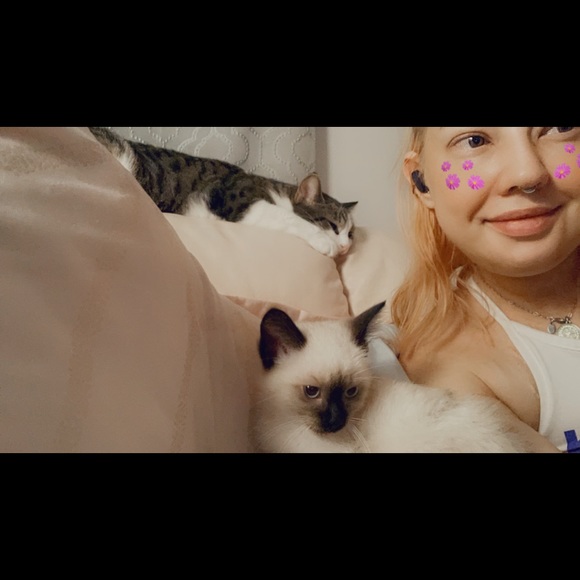 Iss me - Picture 11 of 12